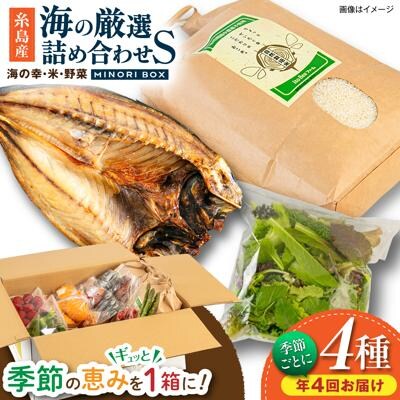 【全4回定期便】糸島産 魚 米 野菜 果物 厳選詰め合わせ Sサイズ [AOP004]