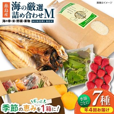 【全4回定期便】糸島産 魚 米 野菜 果物 厳選詰め合わせ Mサイズ [AOP005]