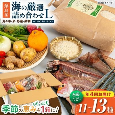 【全4回定期便】糸島産 魚 米 野菜 果物 厳選合わせ Lサイズ　[AOP006]