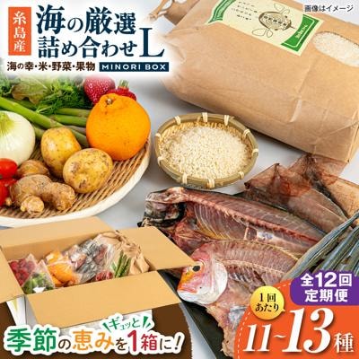 全12回定期便 糸島産 魚 米 野菜 果物 厳選詰め合わせ MINORI BOX L[AOP030]