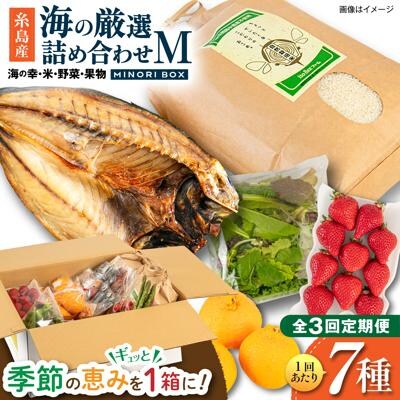全3回定期便 糸島産 魚 米 野菜 果物 厳選詰め合わせ MINORI BOX M [AOP024]