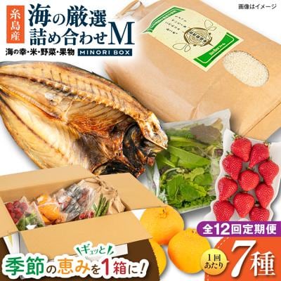 全12回定期便 糸島産 魚 米 野菜 果物 厳選詰め合わせ MINORI BOX M[AOP026]