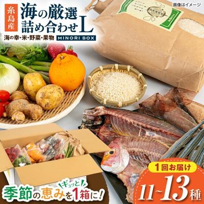 糸島産 魚 米 野菜 果物 厳選詰め合わせ MINORI BOX L [AOP027]