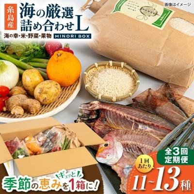全3回定期便 糸島産 魚 米 野菜 果物 厳選詰め合わせ MINORI BOX L [AOP028]