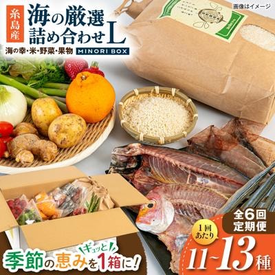 全6回定期便 糸島産 魚 米 野菜 果物 厳選詰め合わせ MINORI BOX L [AOP029]