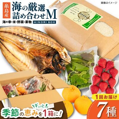 糸島産 魚 米 野菜 果物 厳選詰め合わせ MINORI BOX M [AOP023]