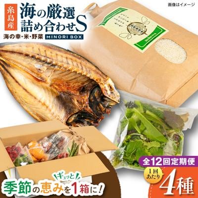 全12回定期便 糸島産 魚 米 野菜 果物 厳選詰め合わせ MINORI BOX S[AOP022]