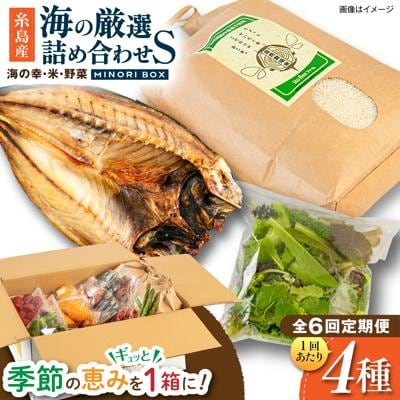 全6回定期便 糸島産 魚 米 野菜 果物 厳選詰め合わせ MINORI BOX S [AOP021]
