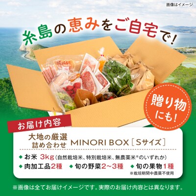 糸島産 肉 米 野菜 果物 厳選詰め合わせ MINORI BOX S [AOP007]
