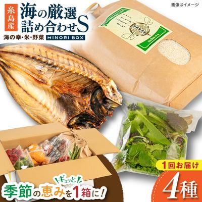 糸島産 魚 米 野菜 果物 厳選詰め合わせ MINORI BOX S [AOP019]