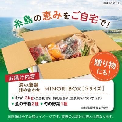 糸島産 魚 米 野菜 果物 厳選詰め合わせ MINORI BOX S [AOP019]