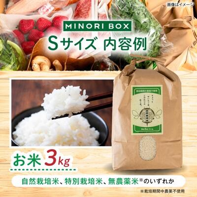 全3回定期便 糸島産 魚 米 野菜 果物 厳選詰め合わせ MINORI BOX S [AOP020]