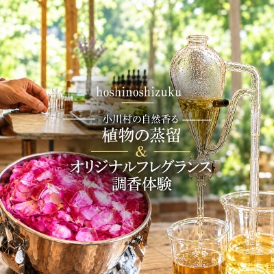 小川村の自然香る　植物の蒸留&オリジナルフレグランス調香体験(5名様分)*284