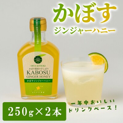 オレンジ農園のかぼすジンジャーハニー (計500g・250g×2本)