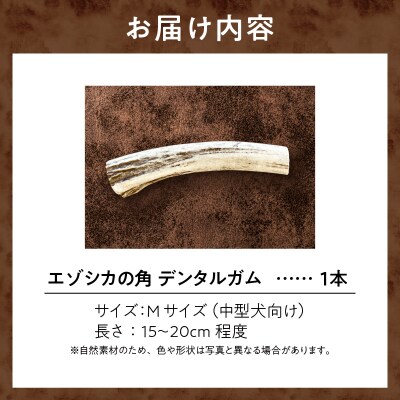 【数量限定】エゾシカの角デンタルガムMサイズ(中型犬向け)_U004-0003