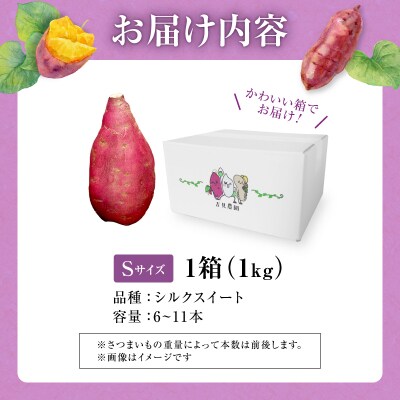 【数量限定】あま～い畑スイーツ!北海道雨竜町産 さつまいも 「シルクスイート」 Sサイズ 1kg