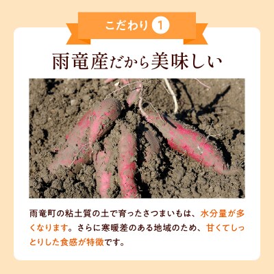 【数量限定】北海道雨竜町産 さつまいも 「栗かぐや」M-Lサイズ 2.5kg 産地直送
