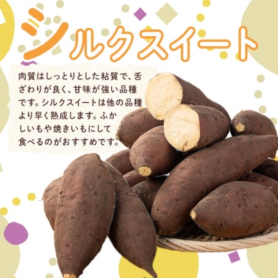 鹿児島県産サツマイモ訳あり「シルクスイート」5.0kg