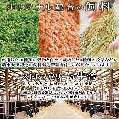【宮崎有田牧場】黒毛和牛シャトーブリアン・ヒレステーキ180g×5枚(900g)牛肉フィレ[2049