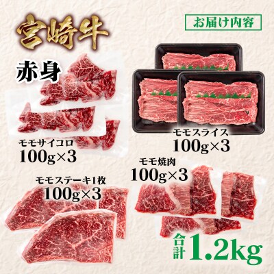 宮崎牛赤身4種食べ比べセット(スライス/焼肉/サイコロ/ステーキ)合計1.2kg　ya[2840]