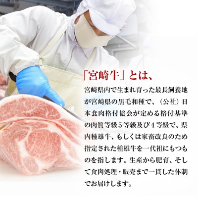 宮崎牛赤身4種食べ比べセット(スライス/焼肉/サイコロ/ステーキ)合計1.2kg　ya[2840]