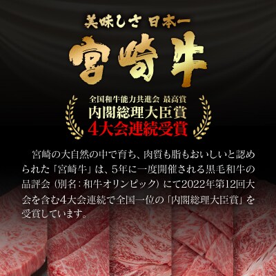 宮崎牛赤身4種食べ比べセット(スライス/焼肉/サイコロ/ステーキ)合計1.2kg　ya[2840]