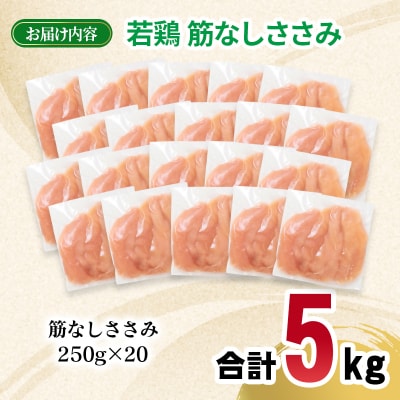 宮崎県産若鶏 筋なしささみ 5kg 小分け250g×20パック [2984]