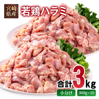 宮崎県産若鶏ハラミ 3kg 小分け300g×10パック [2978]