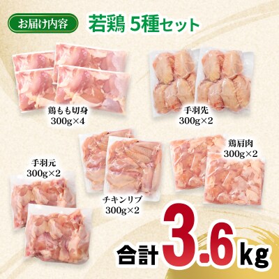宮崎県産若鶏5種12パック合計3.6kgセット　鶏肉小分け[2977]