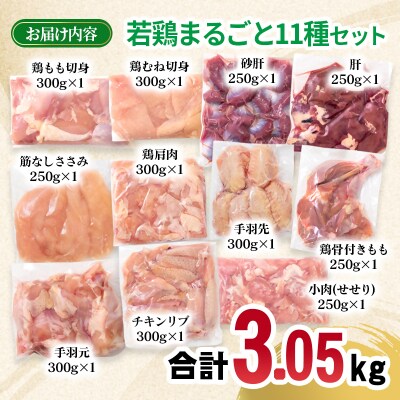 宮崎県産若鶏11種11パック合計3kgセット　鶏肉小分け[2976]