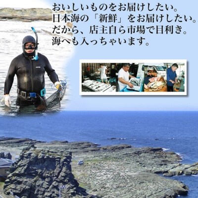 青森県深浦町 千畳敷センターで使える利用券 3,000円分 