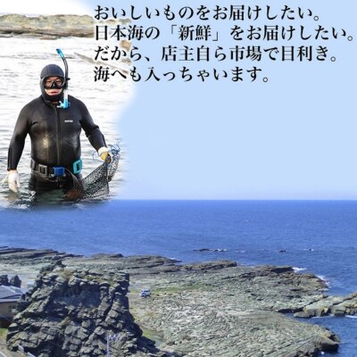 青森県深浦町 千畳敷センターで使える利用券 6,000円分 