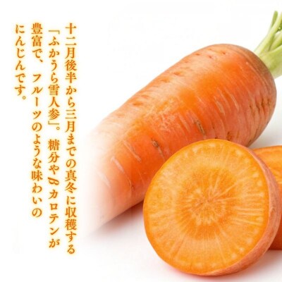 3カ月定期便 ふかうら 人参 ジュース 195g 30本 