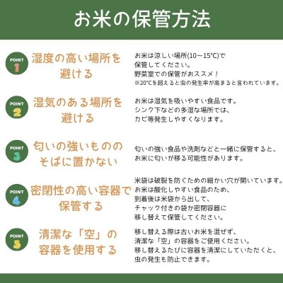 米 玄米【令和8年産 新米】 はれわたり 玄米 10kg 青森ブランド米 玄米