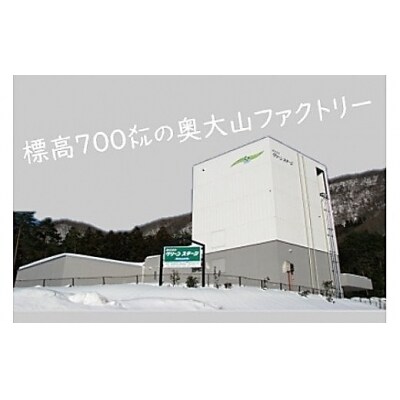奥大山の天然水100%の氷(1.1kg×6袋)