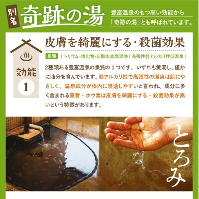 豊富温泉 ふれあいセンター 入浴券 こども用 16回分