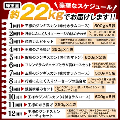 【12か月定期便】毎月違うお肉をお届け!王様シリーズバラエティセット 合計約22kg
