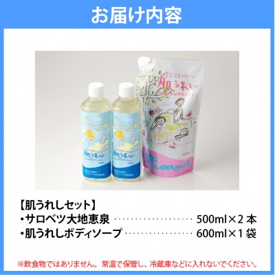 豊富温泉 濃縮温泉水サロベツ大地恵泉 (500ml×2本) & ボディーソープ (600ml×1個)