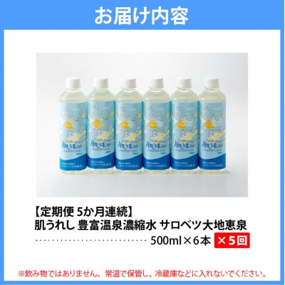 【定期便 5か月連続】 豊富温泉 濃縮温泉水 サロベツ大地恵泉 (1回500ml×6本)