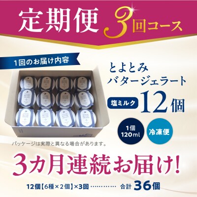 【定期便 3か月】とよとみバタージェラート 塩ミルク 12個セット