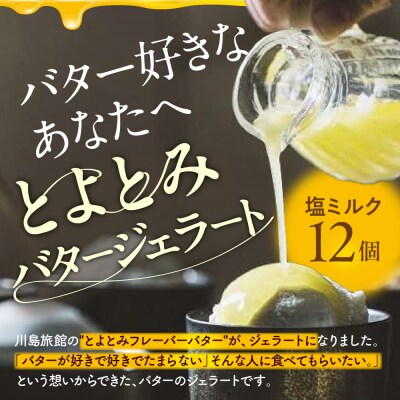 【定期便 6か月】とよとみバタージェラート 塩ミルク 12個セット