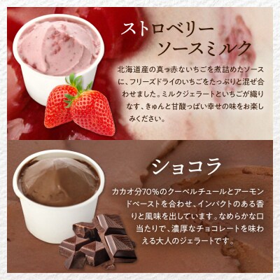 E.den(エデン) 豊富牛乳ジェラート ベーシック 12個セット