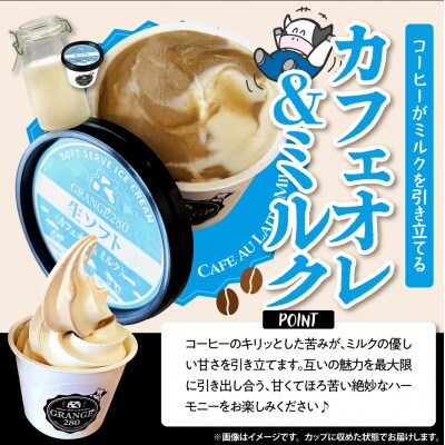 生ソフトクリーム【カフェオレ&ミルク】 計10個