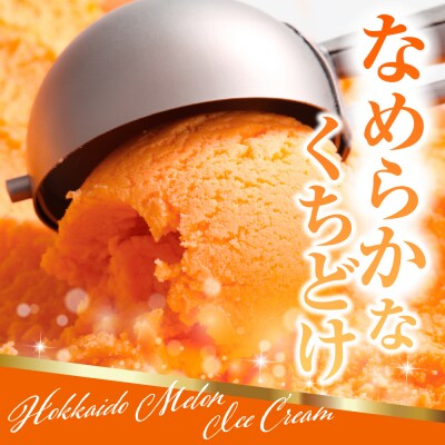 とよとみ牛乳 北海道メロンアイスクリーム 110ml×12個