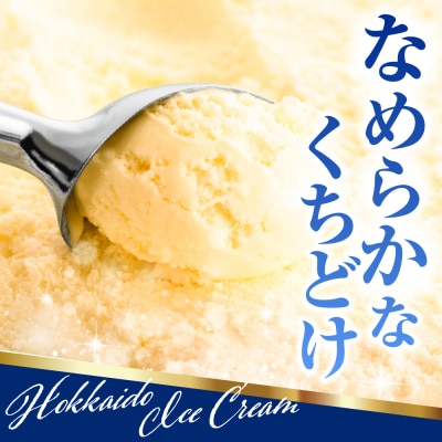 とよとみ牛乳 北海道アイスクリーム バニラ 110ml×12個
