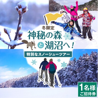 神秘の森と湖沼へ!特別なスノーシューツアー