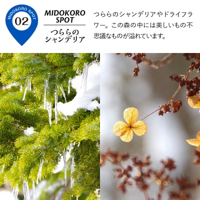 神秘の森と湖沼へ!特別なスノーシューツアー