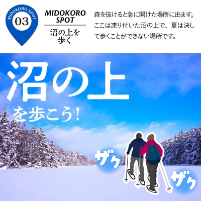 神秘の森と湖沼へ!特別なスノーシューツアー