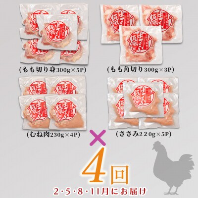 国産 よさこい尾鶏 鶏肉4種セット 定期便 毎回計4kg前後×4回 天皇杯受賞 食べ比べ 詰め合わせ