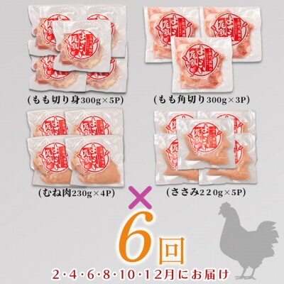 国産 よさこい尾鶏 鶏肉4種セット 定期便 毎回計4kg前後×6回 天皇杯受賞 食べ比べ 詰め合わせ